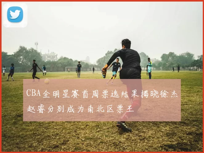 CBA全明星赛首周票选结果揭晓徐杰赵睿分别成为南北区票王